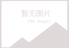 偃师解脱能源有限公司